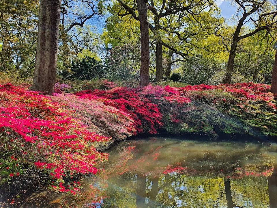 Richmond Park