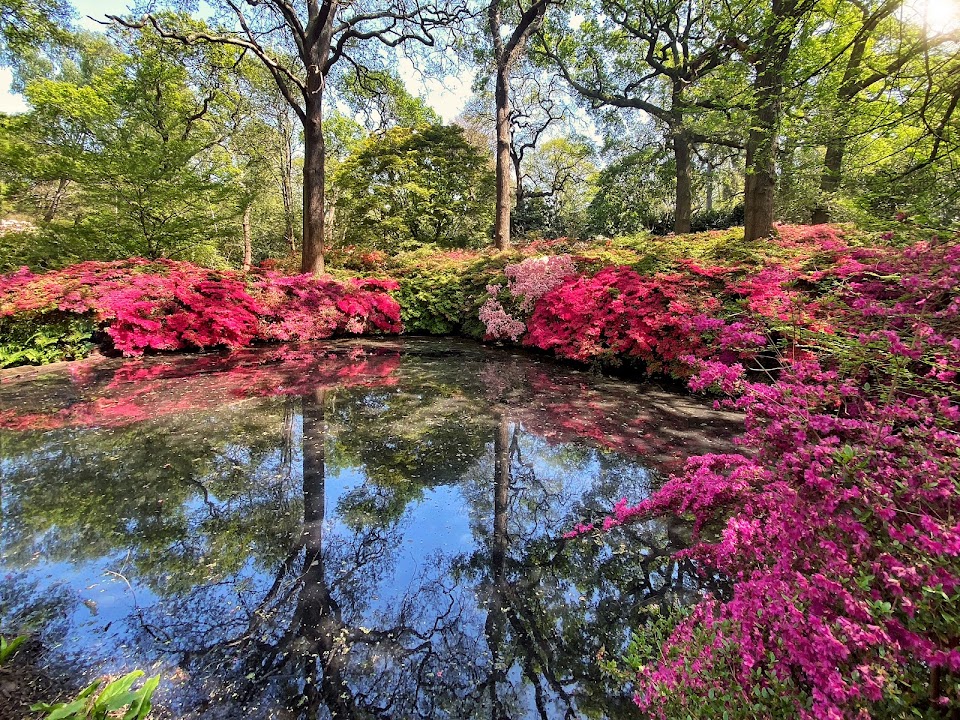 Isabella Plantation